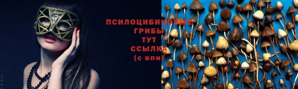 2c-b Аркадак