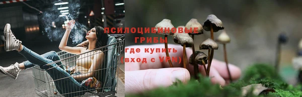 спайс Балабаново