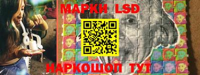 ECSTASY Кингисепп