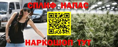 гидра Кинель