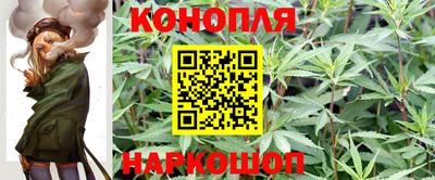 гидра Кинель