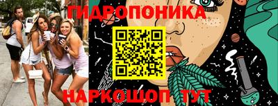 ECSTASY Кингисепп