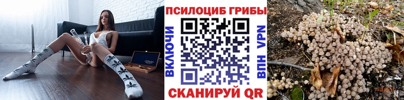 Галлюциногенные грибы Magic Shrooms купить наркотики цена Кировск