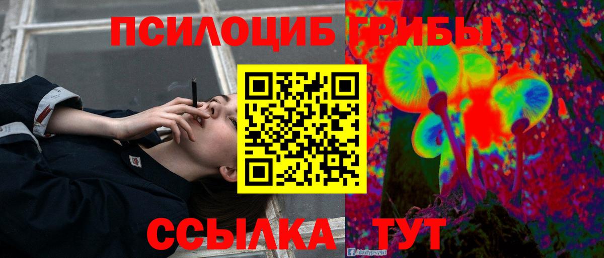 Кировск  Галлюциногенные грибы MAGIC MUSHROOMS  Вход с VPN  Галлюциногенные грибы GOLDEN TEACHER 